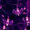 4 Set Halloween Decorative Light-30 LED 10Ft Purple Bat-20 LED 10Ft Pumpkin Lights-20 LED Artificial Tropical Palm Leaves-20 Inch 40 LED Orange Willow Tree