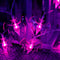 4 Set Halloween Decorative Light-30 LED 10Ft Purple Bat-20 LED 10Ft Pumpkin Lights-Halloween LED Hello Wreath-144 LED 4 Ft Light Up Willow Tree