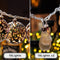 10 LEDs Battery Operated String Lights and 2 Set 10 LEDs Battery Operated String Lights