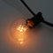 6 Set of G40 Bulbs Globe Garden String Lights