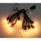 6 Set of G40 Bulbs Globe Garden String Lights